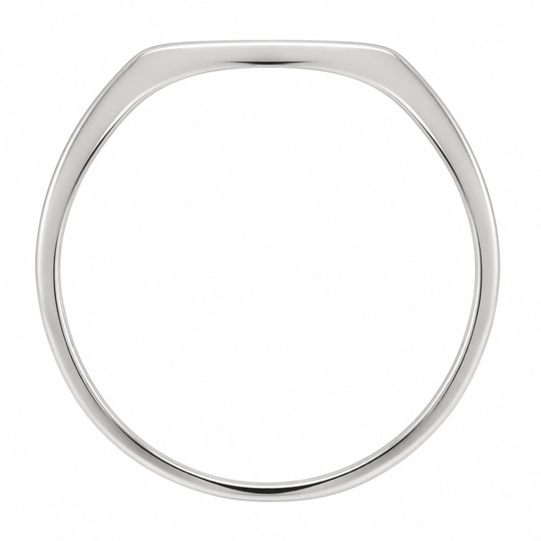 classic 12x13mm Large Plain Landscape Cushion Shape Signet Ring platinum gold