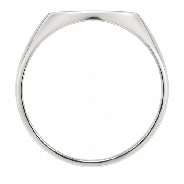 classic 19x15mm portrait large plain gents oval shape signet ring platinum gold