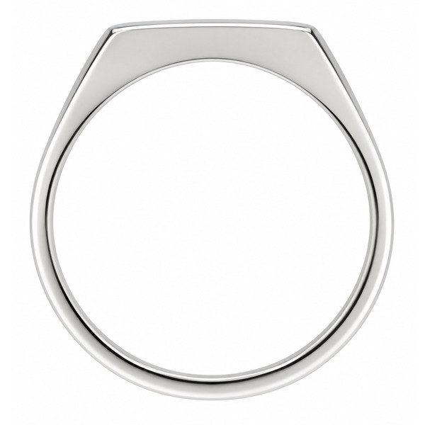 classic 12x10mm portrait medium plain gents oval shape signet ring platinum gold